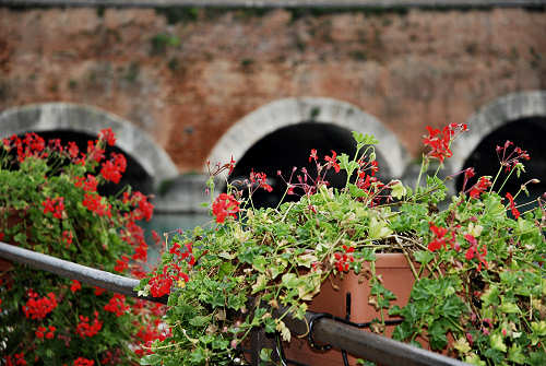 ciclabile del Mincio, Mantova Borghetto Peschiera Garda