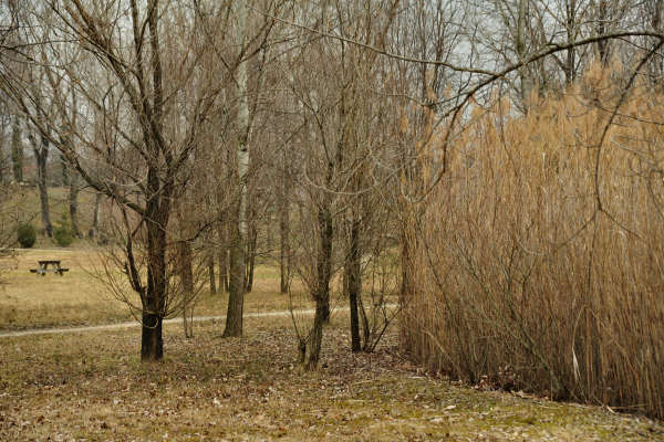 Oasi San Daniele a Liedolo, Parco Ezzelini San Zenone degli Ezzelini