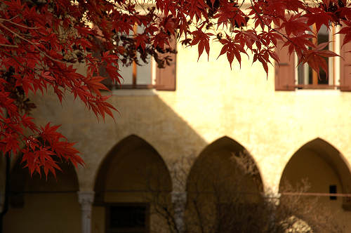 Belluno