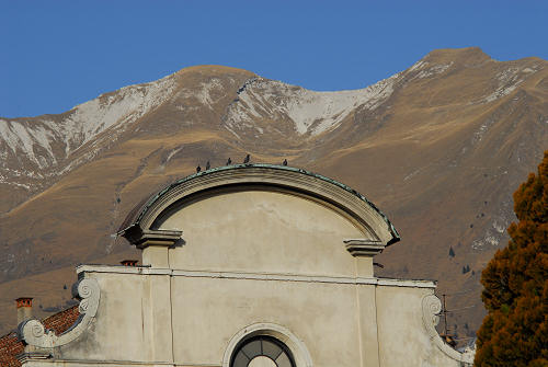 Belluno