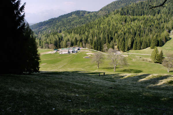 Limana: Valmorel, malga Montegal, Pian dele Femane, i Van