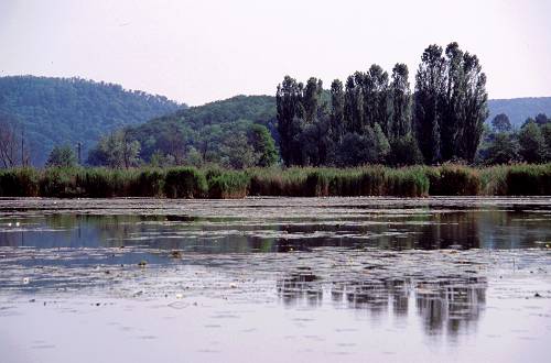 Lago di Fimon - Monti Berici