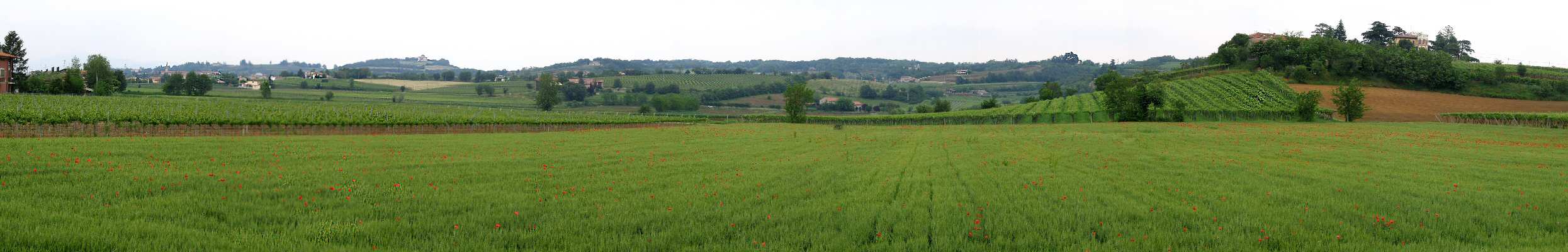 Lonigo, Corlanzone