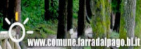 Comune Farra Alpago