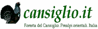 Parco Naturale del Cansiglio