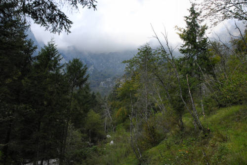 Lamen, Pren, Feltre, Parco Nazionale Dolomiti Bellunesi