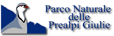 parco Prealpi Giulie