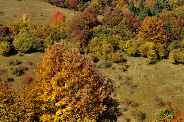 monte Asolone, Val dea Giara