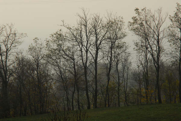 Le Bregonze, Zugliano