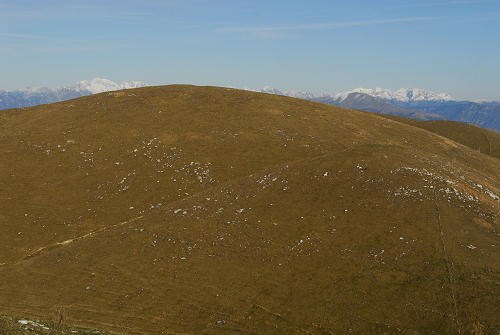Agriturismo Malga Mariech, Monte Cesen