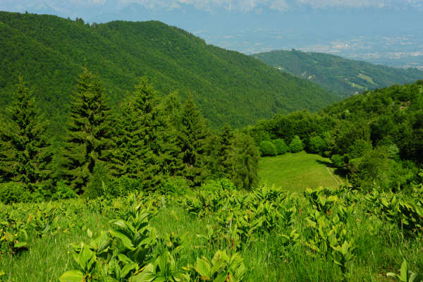 San Boldo, Costa Curta, Crodon Gevero, Vallon Scuro, Foran, rifugio Loff