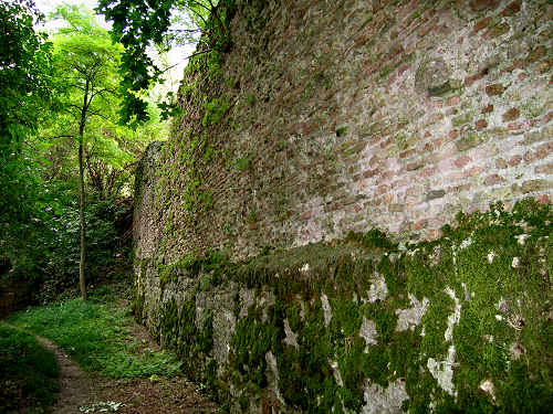 Castello di Collalto