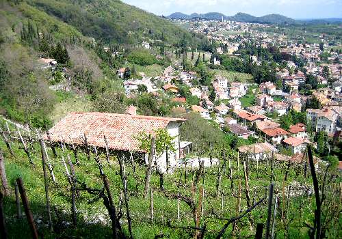 Valdobbiadene (Treviso)