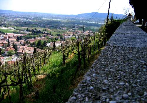 Valdobbiadene (Treviso)