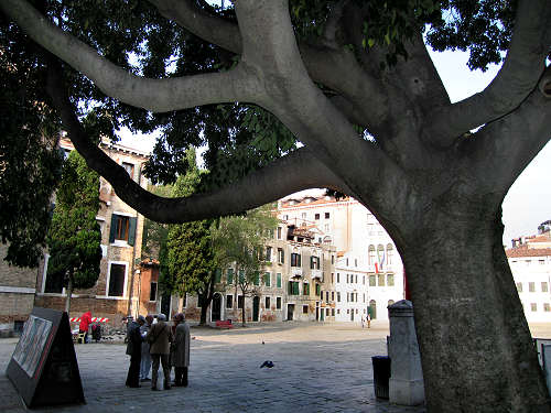 Venezia