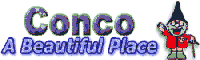Conco onLine