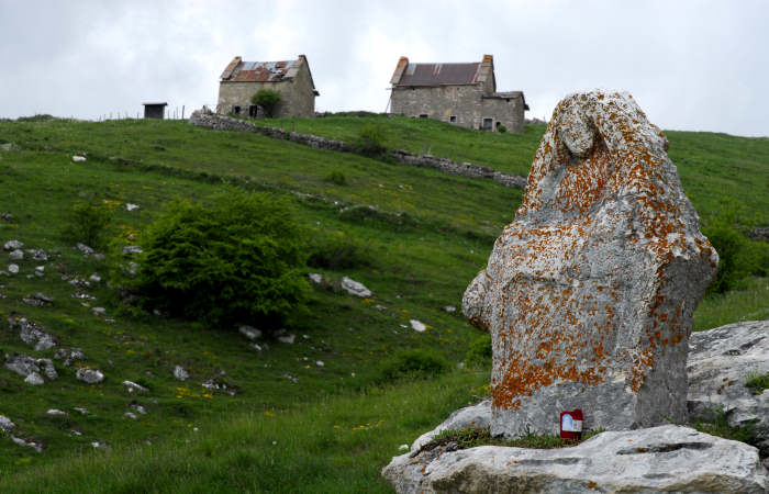 Madonna Lobbia