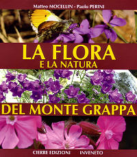monte Grappa