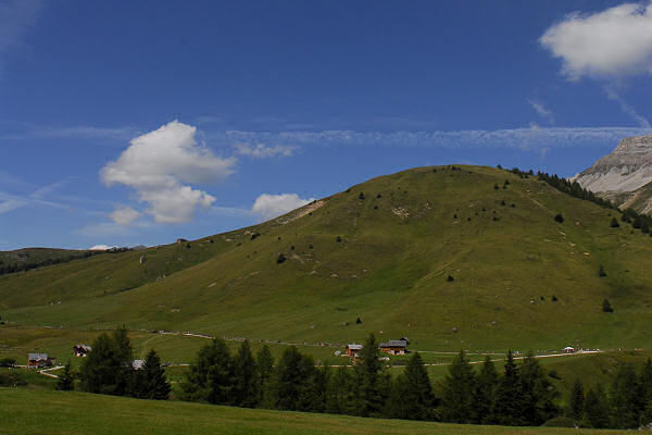 passeggiata dal passo San Pellegrino al rifugio Fociade, Dolomiti alta Valle del Biois Falcade