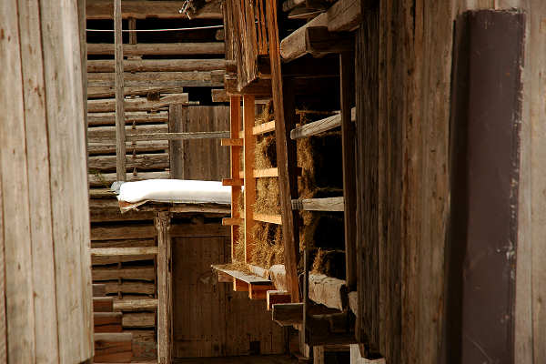 Vallada Agordina, Cogul Piaz