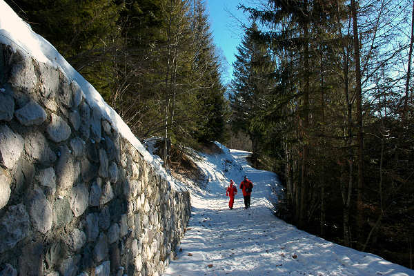 Vallada Agordina, Cogul Piaz