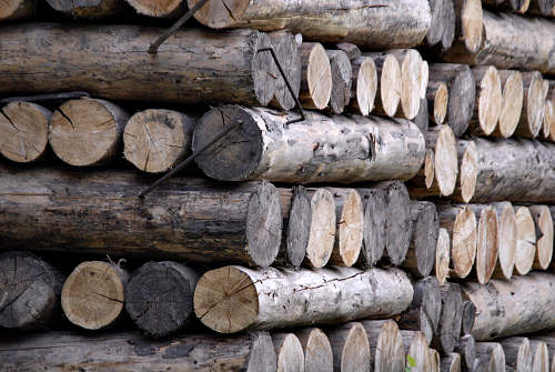 Canale d'Agordo, Valle di Gares, Val Biois