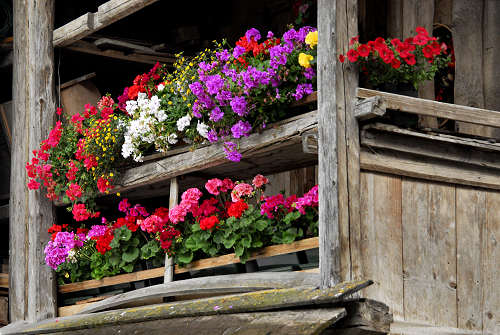 Canale d'Agordo, Valle di Gares, Val Biois