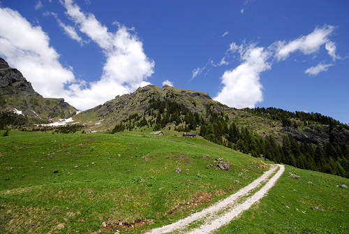 Malga Stia, Gares di Canale d'Agordo - Pale di San Martino Dolomiti Bellunesi