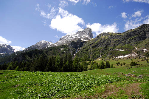 Malga Stia, Gares di Canale d'Agordo - Pale di San Martino Dolomiti Bellunesi