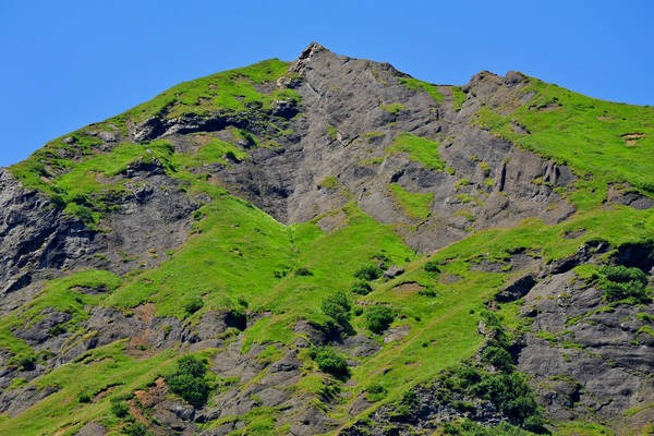 Gares agriturismo Malga Stia a Canale d'Agordo, Dolomiti Bellunesi Pale di San Martino valle di Gares
