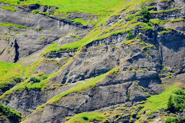 Gares agriturismo Malga Stia a Canale d'Agordo, Dolomiti Bellunesi Pale di San Martino valle di Gares