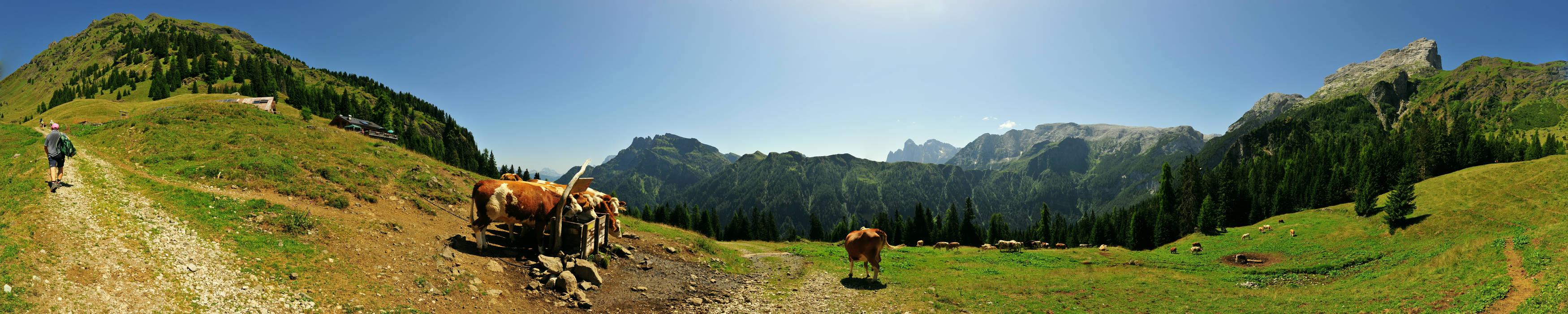 malga Stia in Val di Gares, Canale d'Agordo, Pale di San Martino