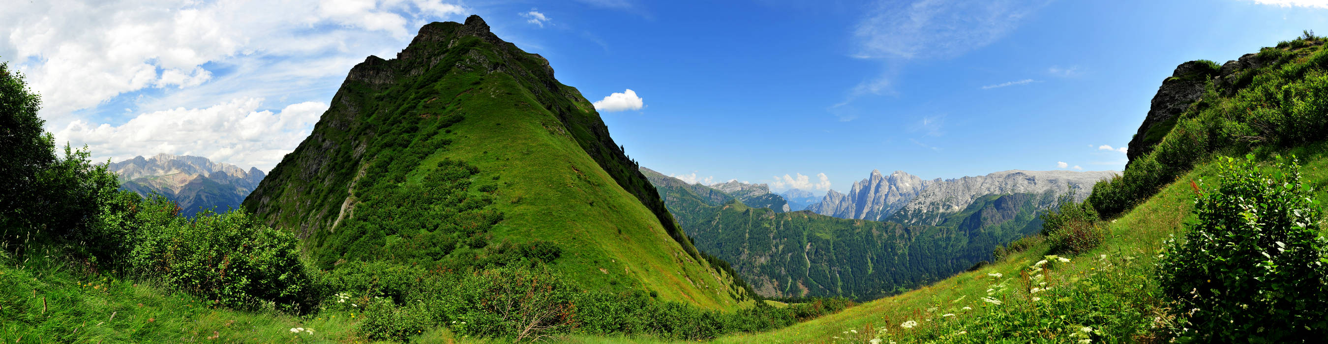 forcella Stia a Gares, Pale di San Martino