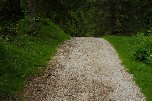 Canale d'Agordo, Gares