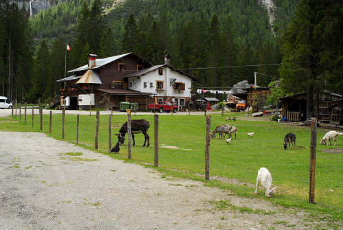 Canale d'Agordo, Gares