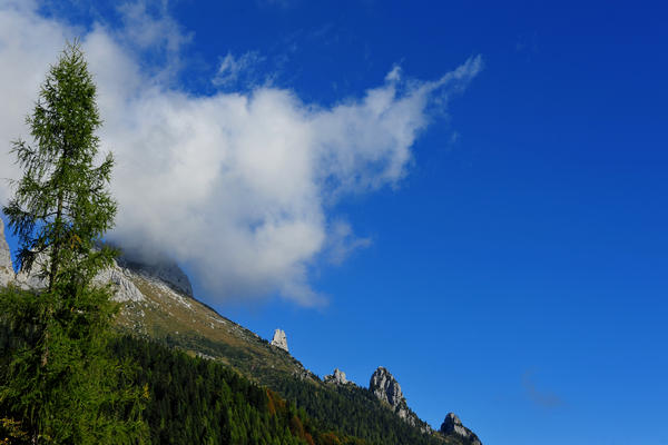 rifugio Scarpa, monte Agner, malga Col di Luna, Frassené Agordino