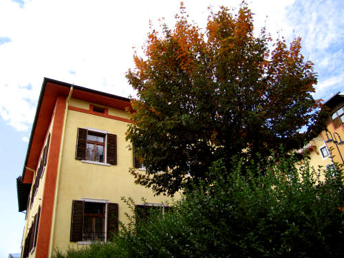 Folgaria - altopiano folgaretano