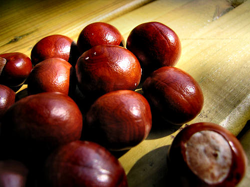 Folgaria - altopiano folgaretano