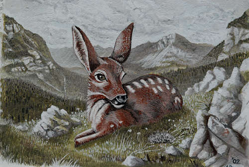 Folgaria - altopiano folgaretano