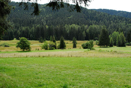 Folgaria - biotopo Echen
