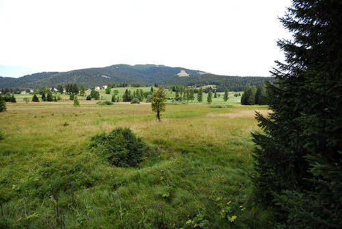 Folgaria - biotopo Echen