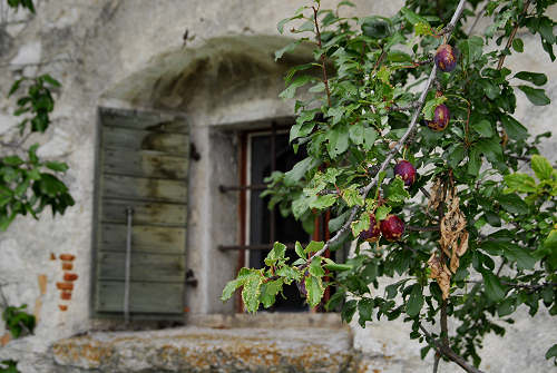 Folgaria - Maso Spilzi