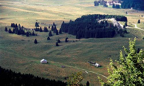 Busa Verle al Vezzena