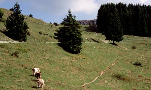 Busa Verle al Vezzena