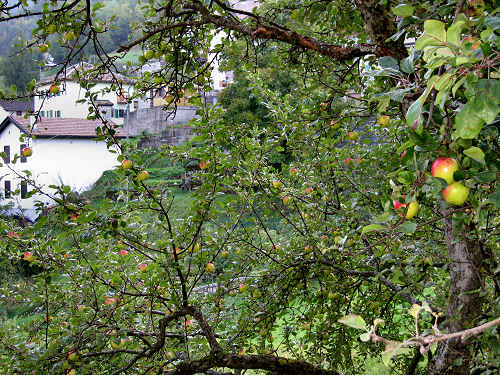 Guardia di Folgaria - il paese dipinto