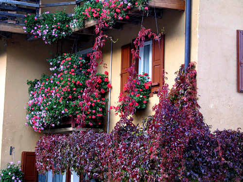 Guardia di Folgaria - il paese dipinto
