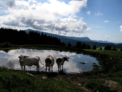 altopiano e passo del Vezzena