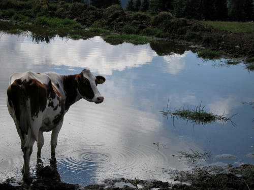 altopiano e passo del Vezzena