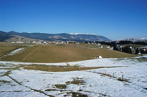 Asiago