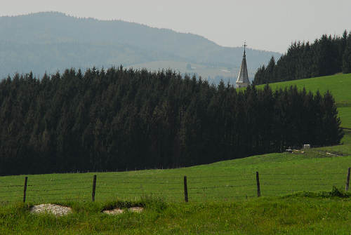 Asiago